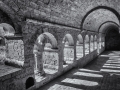 DSC_1668-Modifier
