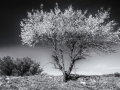 DSC_9852-Modifier