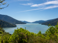 Nouvelle Zélande/Picton