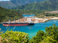 Nouvelle Zélande/Picton