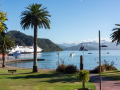Nouvelle Zélande/Picton