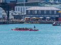 Nouvelle Zélande/Wellington