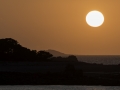 Port blanc/sunset