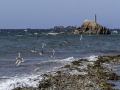 Sillon de TalbertPhare des Héaux de Bréhat
