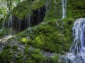 Provence/ St Pons Gemenos