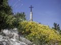 Provence/ Sainte Victoire