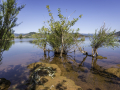Lac Salagou / France