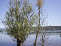 Lac Salagou / France