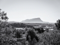 Sainte victoire en N&B