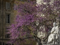 Aix-en-Provence