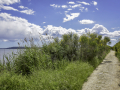 Petite Camargue/ST Chamas