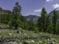 Mercantour/France