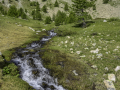 Mercantour/France
