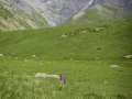 Mercantour/France