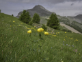 Mercantour/France