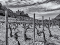 Les dentelles de Montmirail