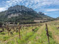 Les dentelles de Montmirail