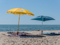 Plage de piemanson