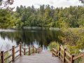 Lake Matheson/Nouvelle Zélande