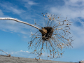 Hokitika/Nouvelle Zélande