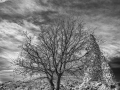 DSC_0958-Modifier.jpg