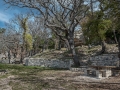 DSC_0970.jpg