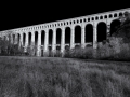 DSC_9622-Modifier