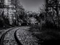 DSC_9638-Modifier