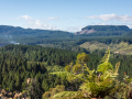 Nouvelle Zélande/Roturoa