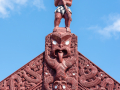 Nouvelle Zélande/Roturoa