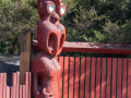 Nouvelle Zélande/Roturoa