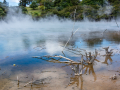 Nouvelle Zélande/Roturoa