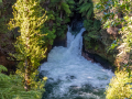 Okere Falls/nouvelle zelande