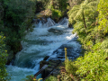 Okere Falls/nouvelle zelande