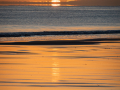 Nouvelle Zélande/Tauranga