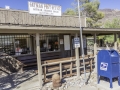 Oatman/ Route 66