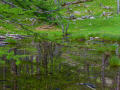 /Mercantour