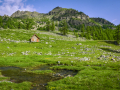 /Mercantour