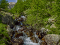 /Mercantour
