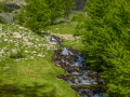 /Mercantour