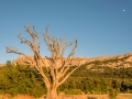 La Sainte Baume, Provence, France