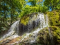Parc de saint Pons Sainte Baume Provence