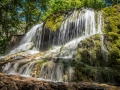 Parc de saint Pons Sainte Baume Provence