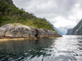 Milford sound/Nouvelle Zelande