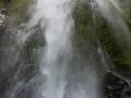 Milford sound/Nouvelle Zelande
