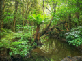 Lake Gunn/Nouvelle Zélande