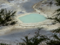 Nouvelle Zélande/Wai-o-Tapu