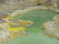 Nouvelle Zélande/Wai-o-Tapu