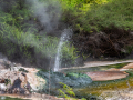 Nouvelle Zélande/Waimangu Volcanic Valley