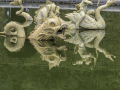 Versailles / Paris